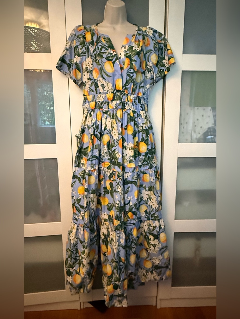 NWT Anthropologie Somerset Lemon Print Wedgewood Maxi Dress - M - Picture 4 of 11